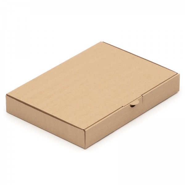 150 Warensendungen 305 x 220 x 44 Maxibriefkarton Post Maxibrief Karton BRAUN
