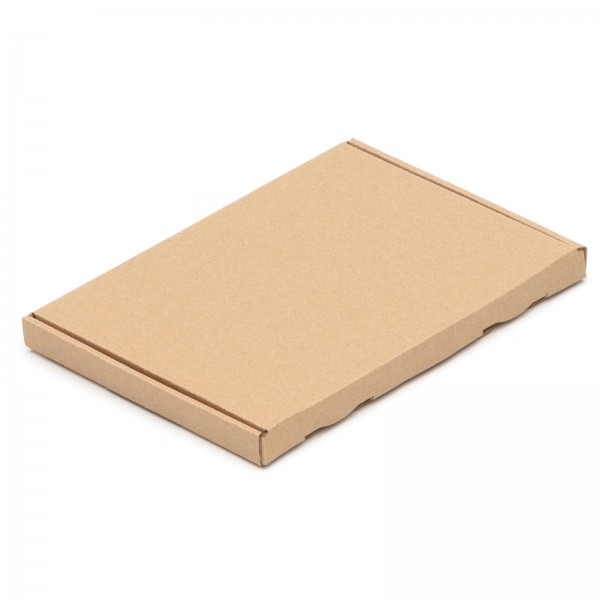25 Großbrief 220 x 155 x 15 Großbriefkartons Postkarton BRAUN