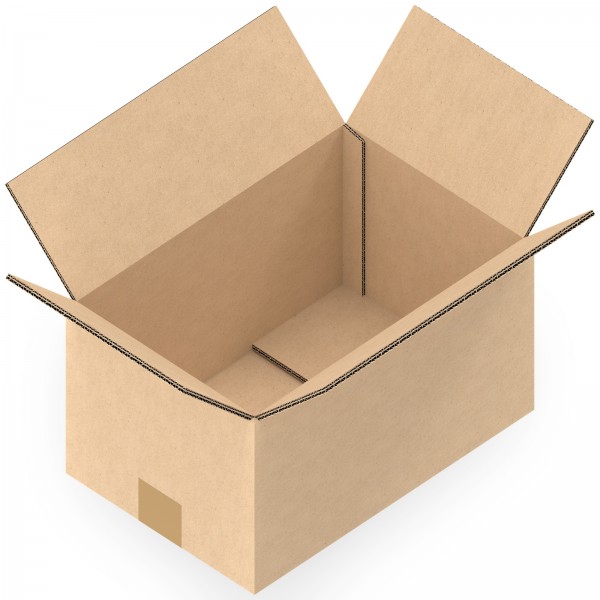 100 Stück Versandkartons 300 x 200 x 170 mm Kartons 2-wellig